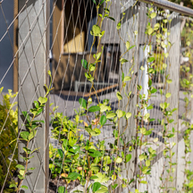 Wire Rope Plant Trellis